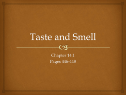4-Taste and smell - Science-with
