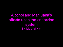 Marijuana`s Effect on the Endocrine System