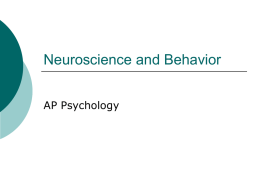 Neuroscience and Behavior