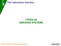 3 Types of nervous systems