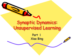 Synaptic Dynamics: Unsupervised Learning