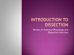 Introduction to Dissection