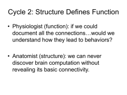 Cycle 2: Structure Defines Function