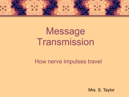 Message Transmission