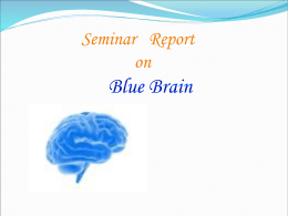 What can we learn from Blue Brain