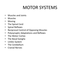 MOTORSYSTEMS