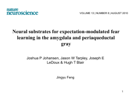 Paper: Neural substrates for expectation