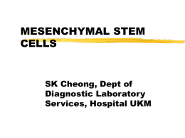 potential application of mesenchymal stem cells - Home
