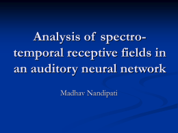 Analysis of spectro-temporal receptive fields in an auditory neural