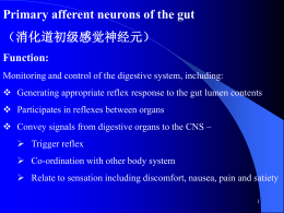 Primary afferent neurons of the gut