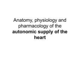 Anatomy, physiology and pharmacology of the autonomic