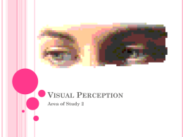 Visual Perception - PsychAtRuthven2010