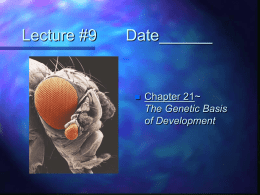 Lecture #9 Date - Biology Junction