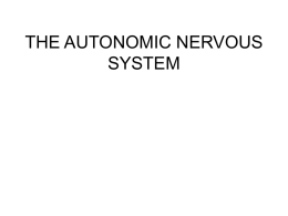 THE AUTONOMIC NERVOUS SYSTEM