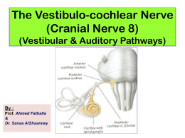 9-Cranial nerve 8 (Vestibulo