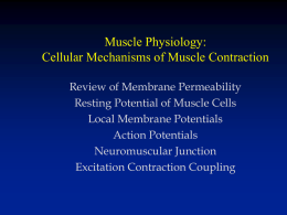Muscle Physiology - Cal State LA