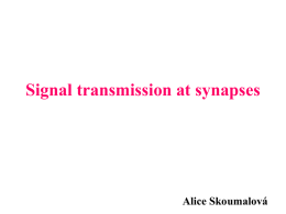 Signal transmission at synapses