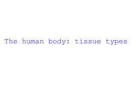 The human body: tissue types