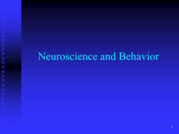 Ch.02 - Neuroscience