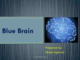 Blue Brain PPT