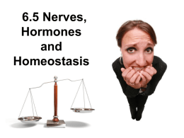 6.5 Nerves, Hormones and Homeostasis