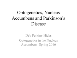 Deb Perkins- Hicks