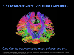 `Enchanted Loom` (for KS4) - History of Medical Sciences