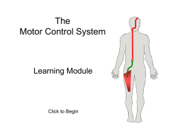 The Motor Control System