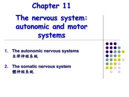 Chapter 11-自律神經及體運動神經系統檔案