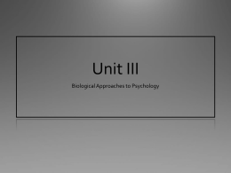 Unit III - The Independent School