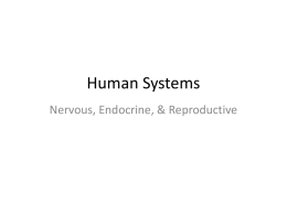 Human Systems