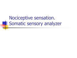 03 Nociceptive sensation. Somatic sensory analyzer
