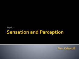 Un 1 Sensation and Perception Notes