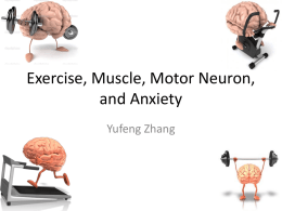 Exercise, Muscle, Motor Neuron, and Anxiety
