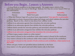 Lesson 3-The Brain Lecture unit1Lesson3TheBrainNEWx