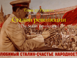 Chapter 29 Stalin Revolution By Rohan Badlani