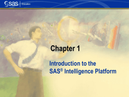 SAS 9.1 - Business Intelligence Architecture