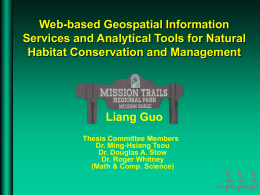Web-based Geospatial Information System and Analytical