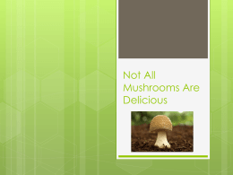 Not All Mushrooms Are Delicious