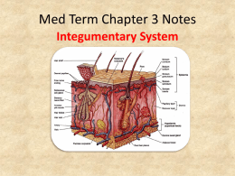 Med Term Chapter 3 Notes