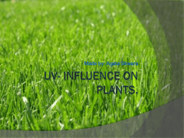 UV- influence on plants.
