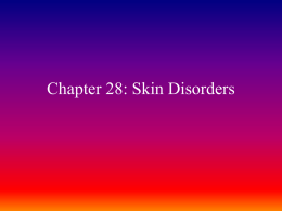 Chapter 28: Skin Disorders - Kent City School District