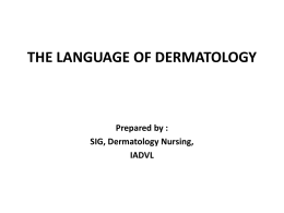 THE LANGUAGE OF DERMATOLOGY