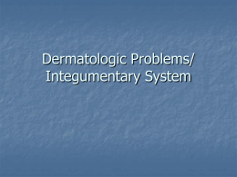 Dermatologic Problems / Integumentary System