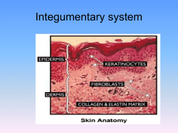 Integumentary System - West Liberty