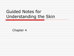 Skin and Body Membranes Notes