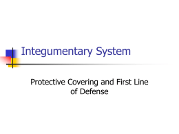 Integ System - Powell County Schools