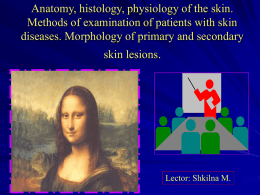 Lecture 1. Anatomy, histology, physiology of the skin. Methods of