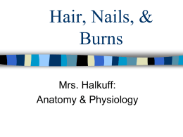 4.3 Hair, Nails, & Burns