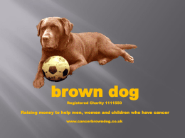 Brown Dog Charity
